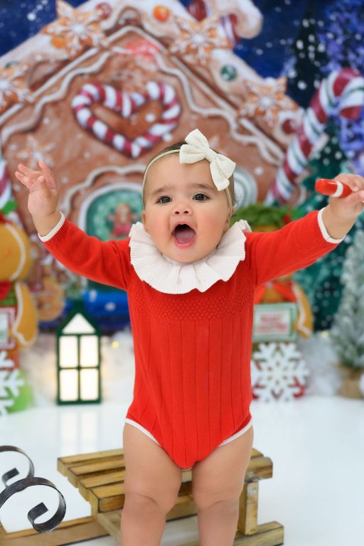Premium Photography Sudio in Tampa, FL. Holiday-