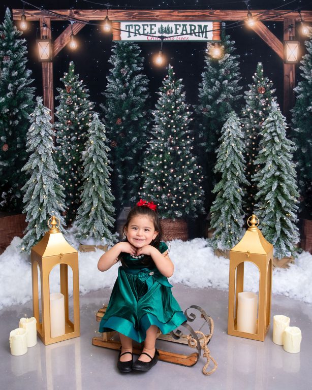 Family Photography in Phoenix, AZ. Holiday-