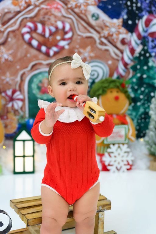 Premium Photography Sudio in Tampa, FL. Holiday-