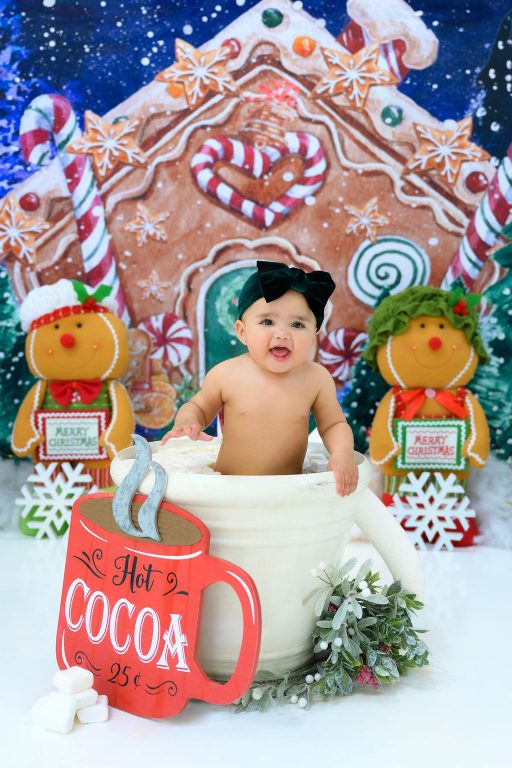 Premium Photography Sudio in Tampa, FL. Holiday-