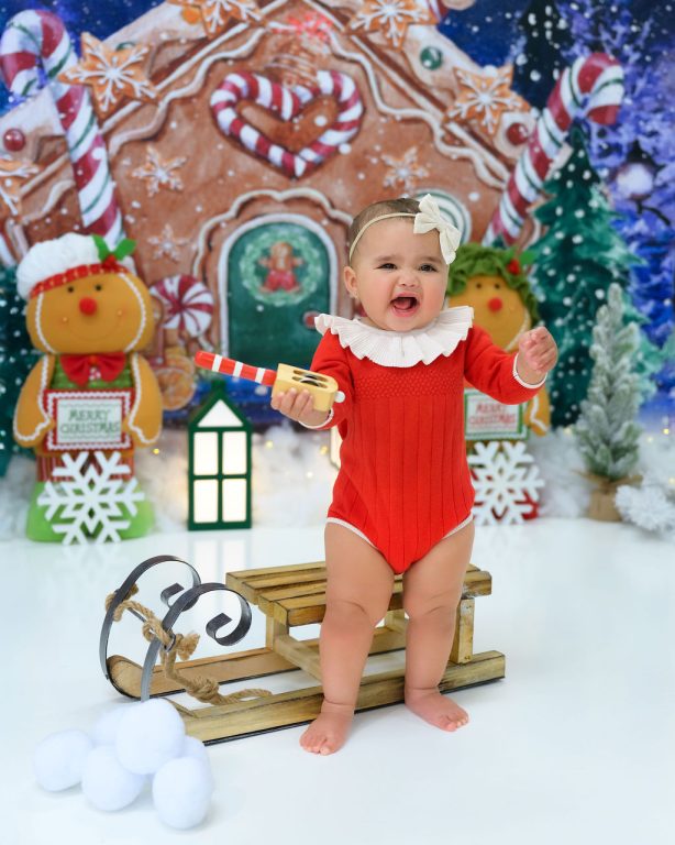 Premium Photography Sudio in Tampa, FL. Holiday-