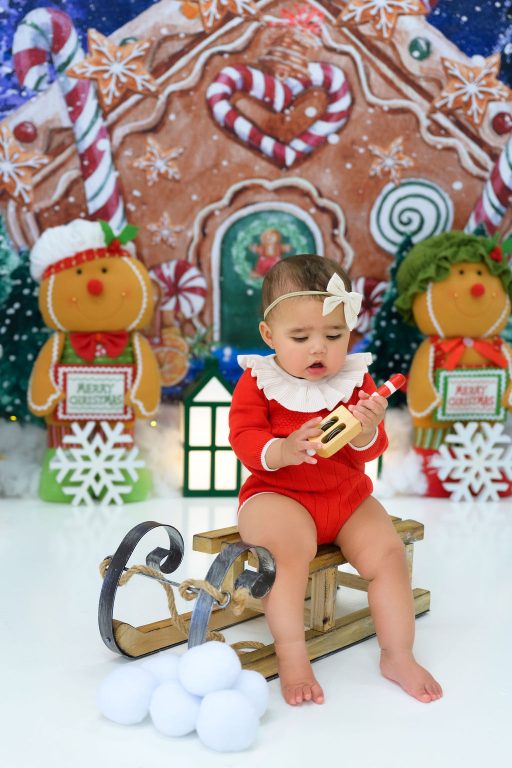 Premium Photography Sudio in Tampa, FL. Holiday-