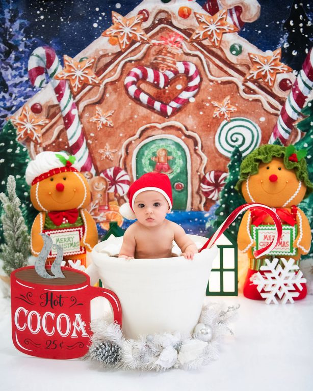 Family Photography in Phoenix, AZ. Holiday-