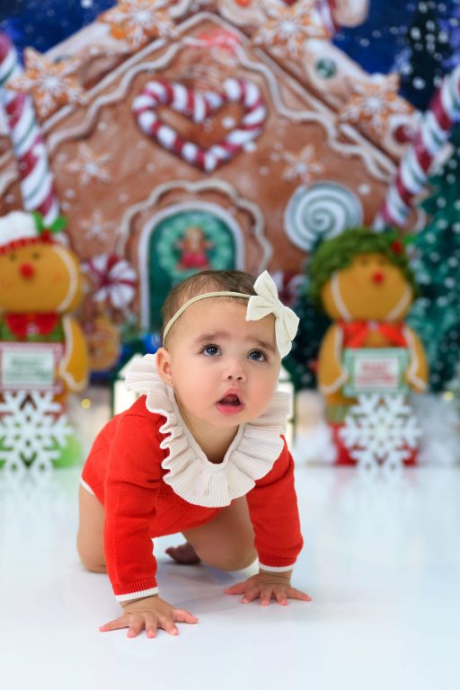 Premium Photography Sudio in Tampa, FL. Holiday-