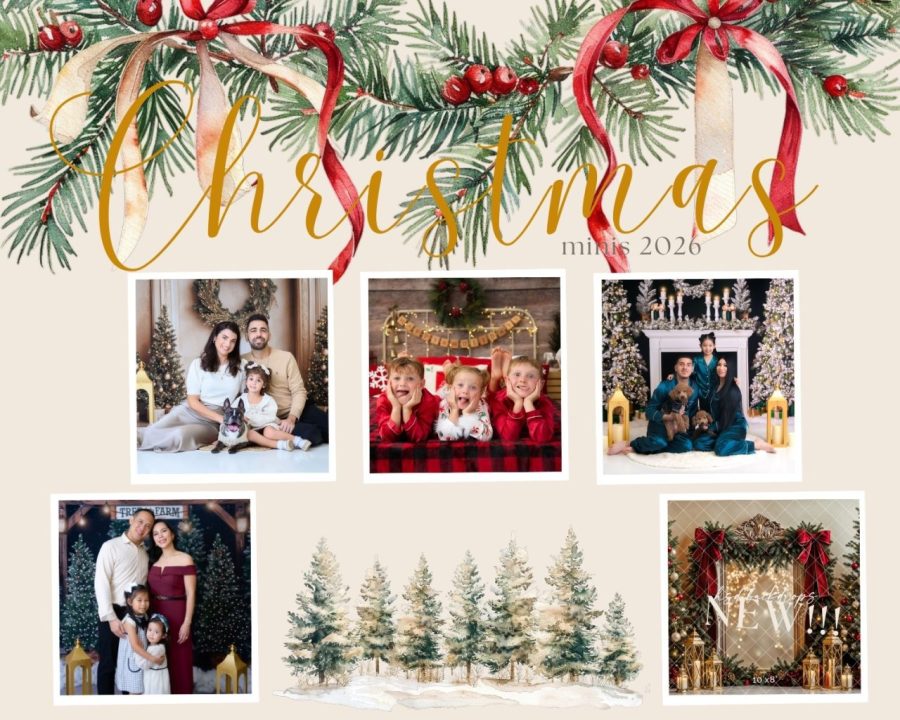 🎄 Christmas Mini Sessions in Tampa, FL 🎄 $275